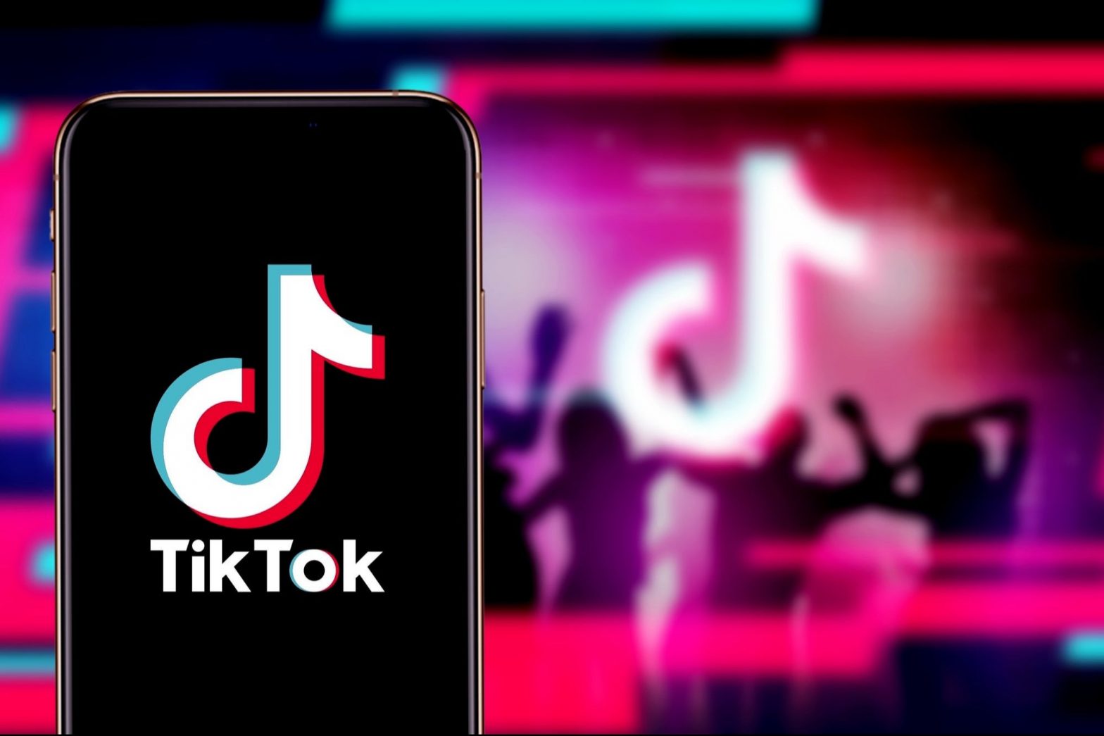 ¿Cuál es la característica que más te disgusta de TikTok?