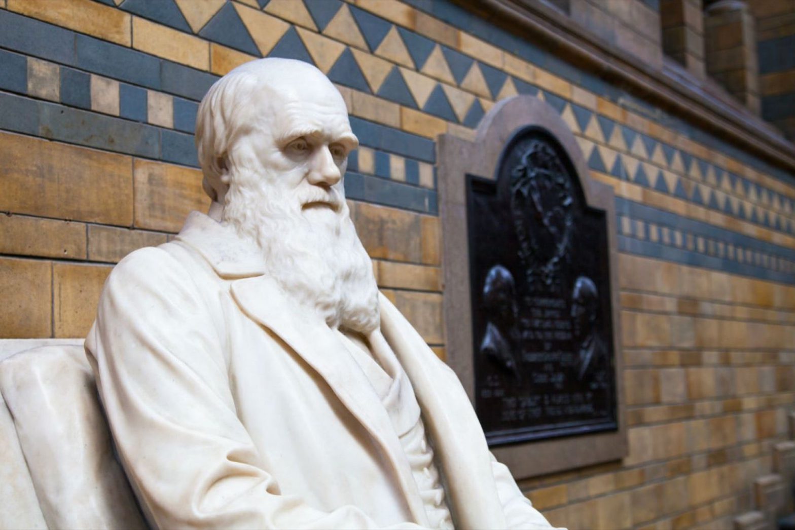 Darwin-como-administrar-una-empresa