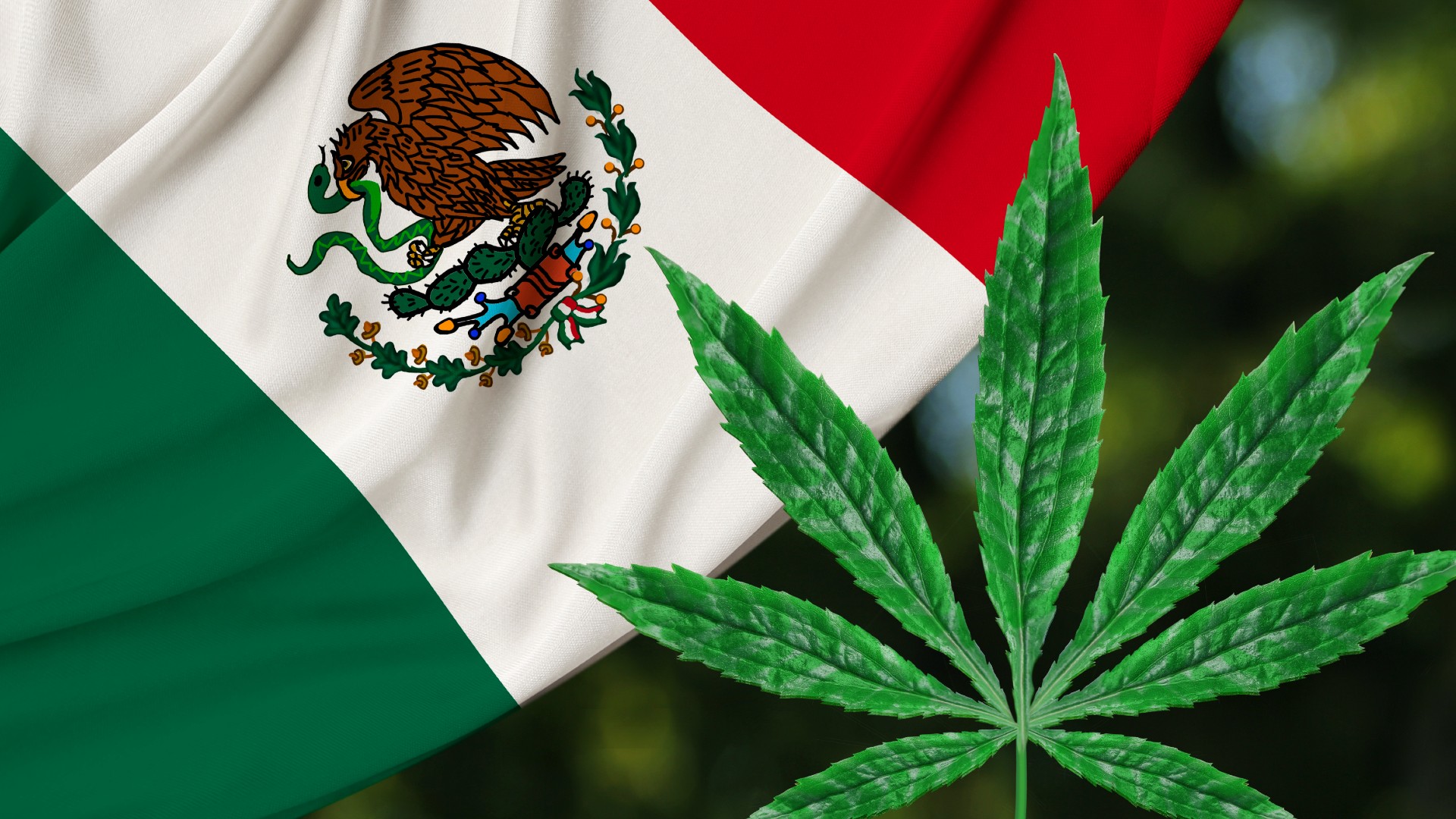 Así será el negocio del cannabis legal en México - Emprendedor
