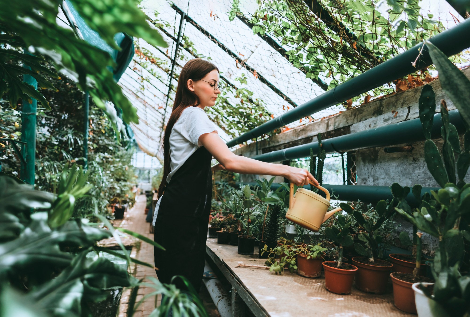 Abre tu propio vivero de plantas y mantenimiento de jardines - Emprendedor