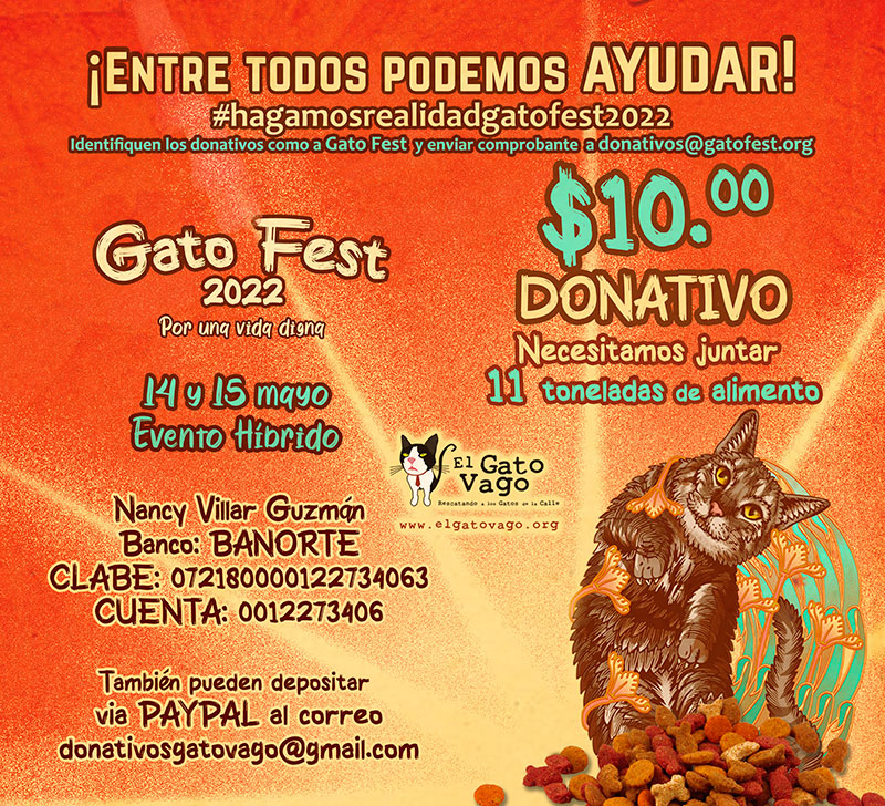 Gato Fest regresa para ayudar a más de 1,500 michis