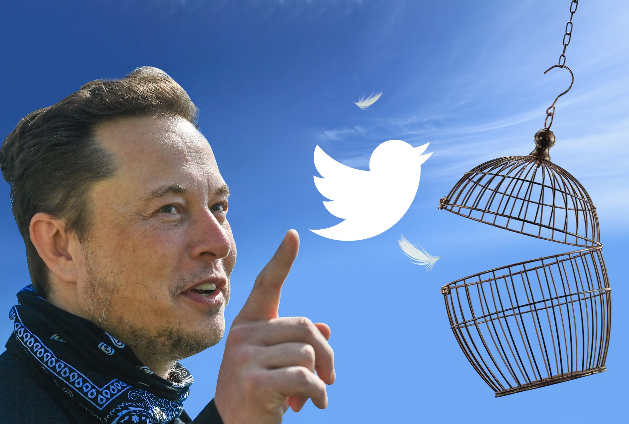 Elon Musk llegó a hacer muchos cambios polémicos en Twitter.