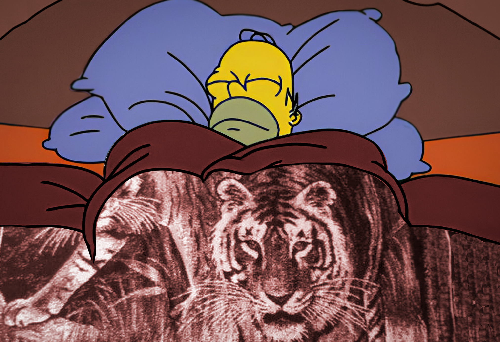 historia de los cobertores San Marcos