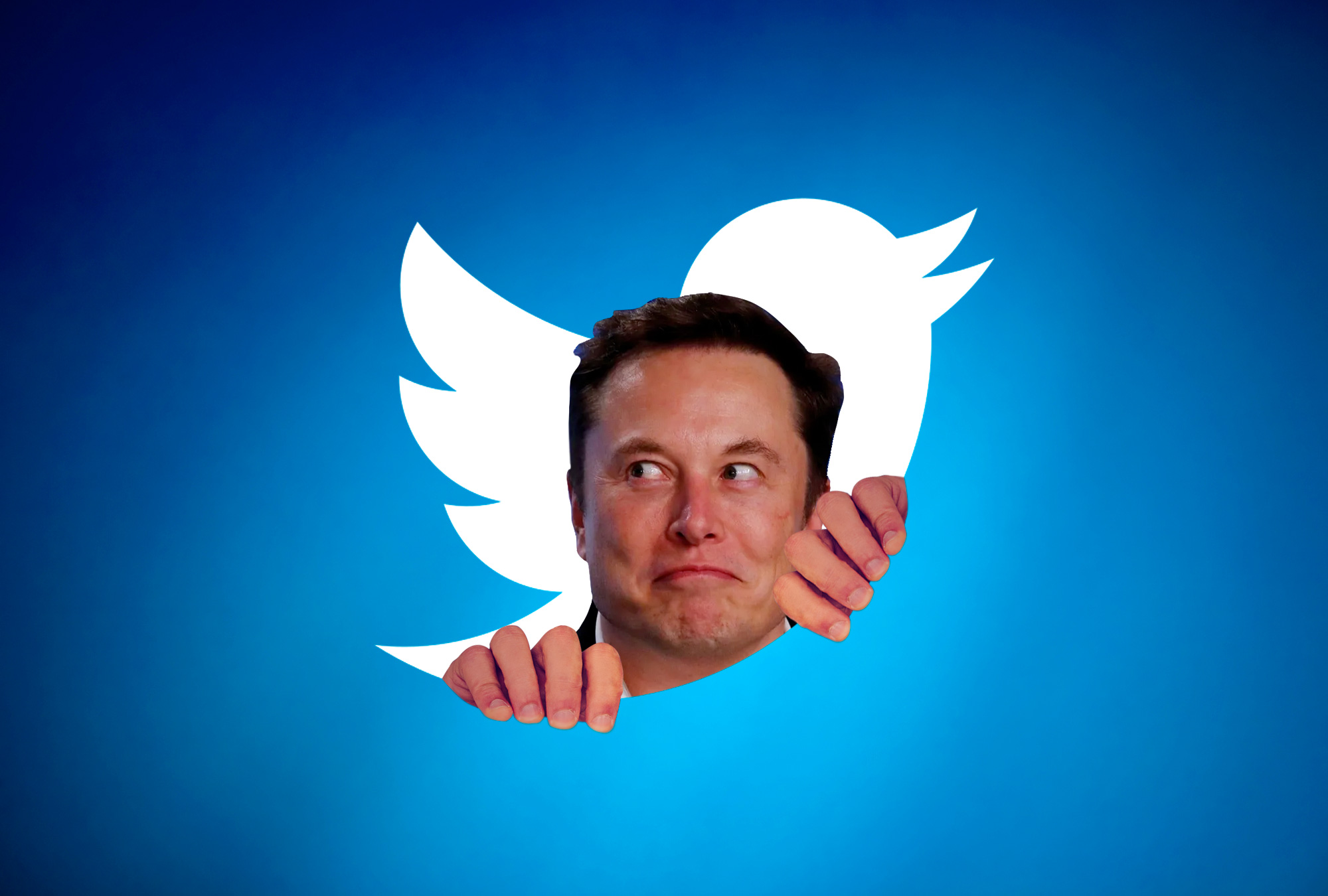Elon Musk dice que salvo a Twitter de la bancarrota.