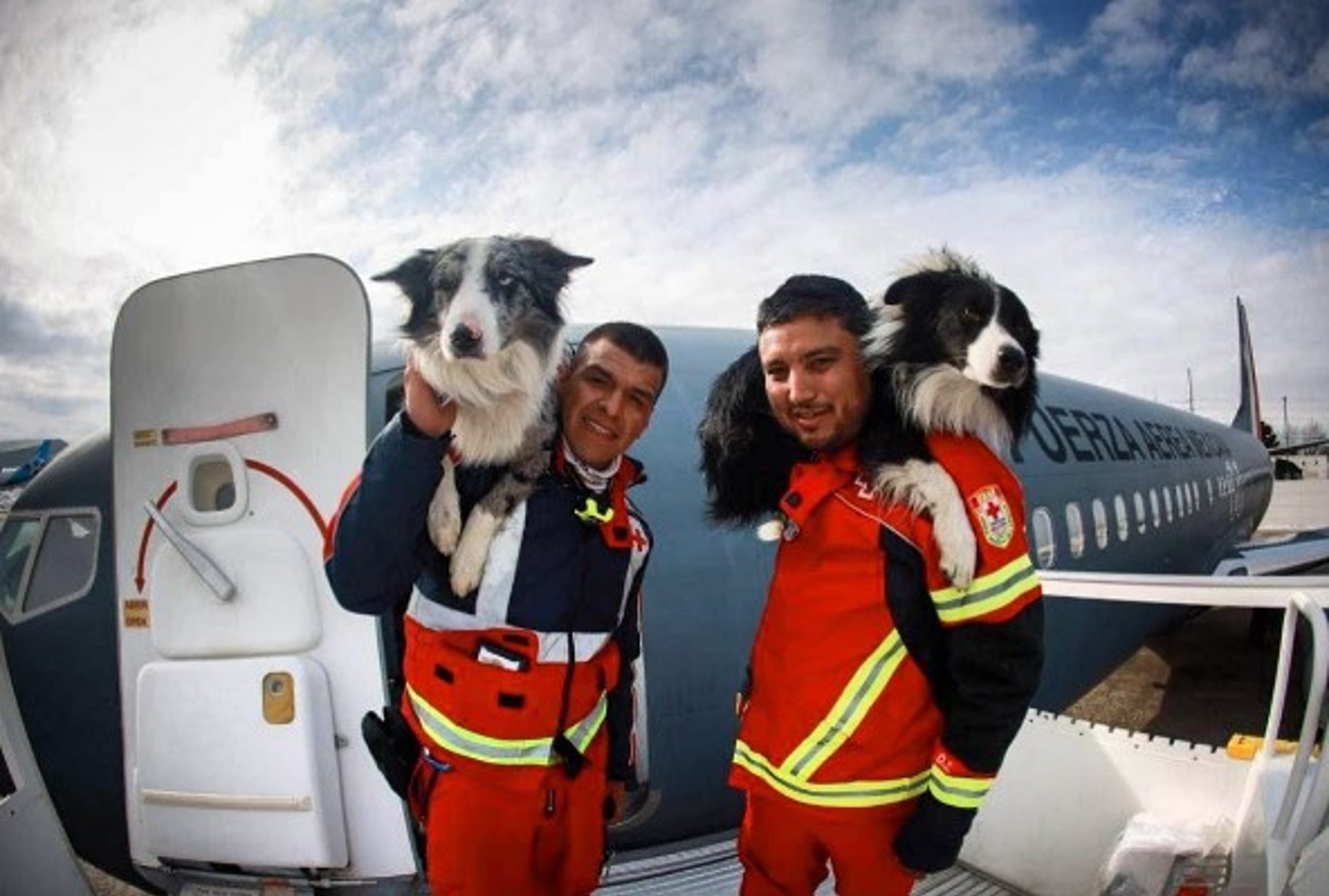 Los perros rescatistas han recibido miles mensajes de apoyo en redes sociales.