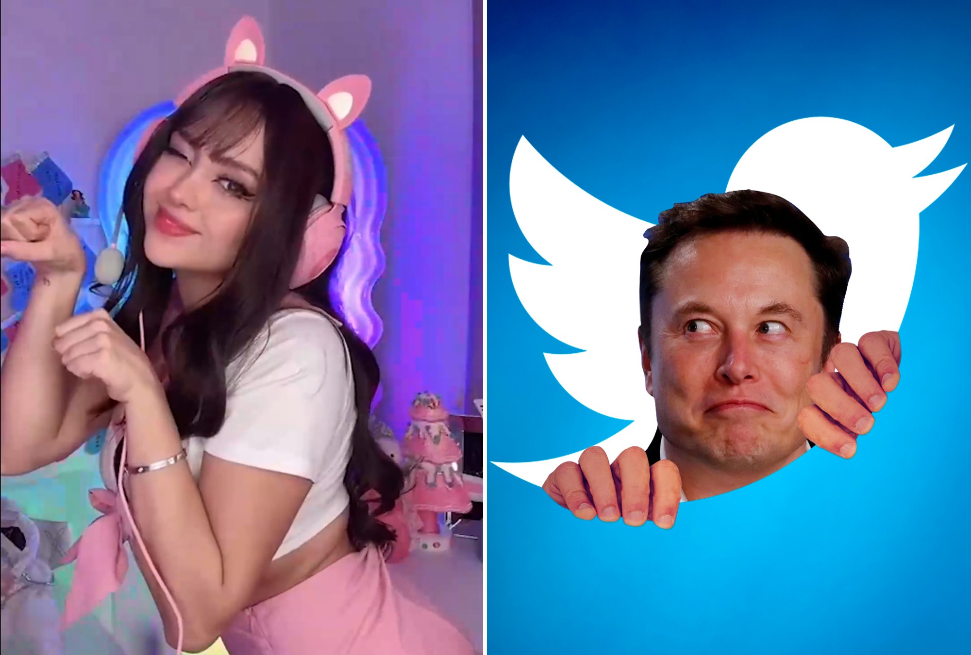 Quién es Ari Gameplays? La streamer mexicana a quien Elon Musk contactó en  Twitter - El Sol de México