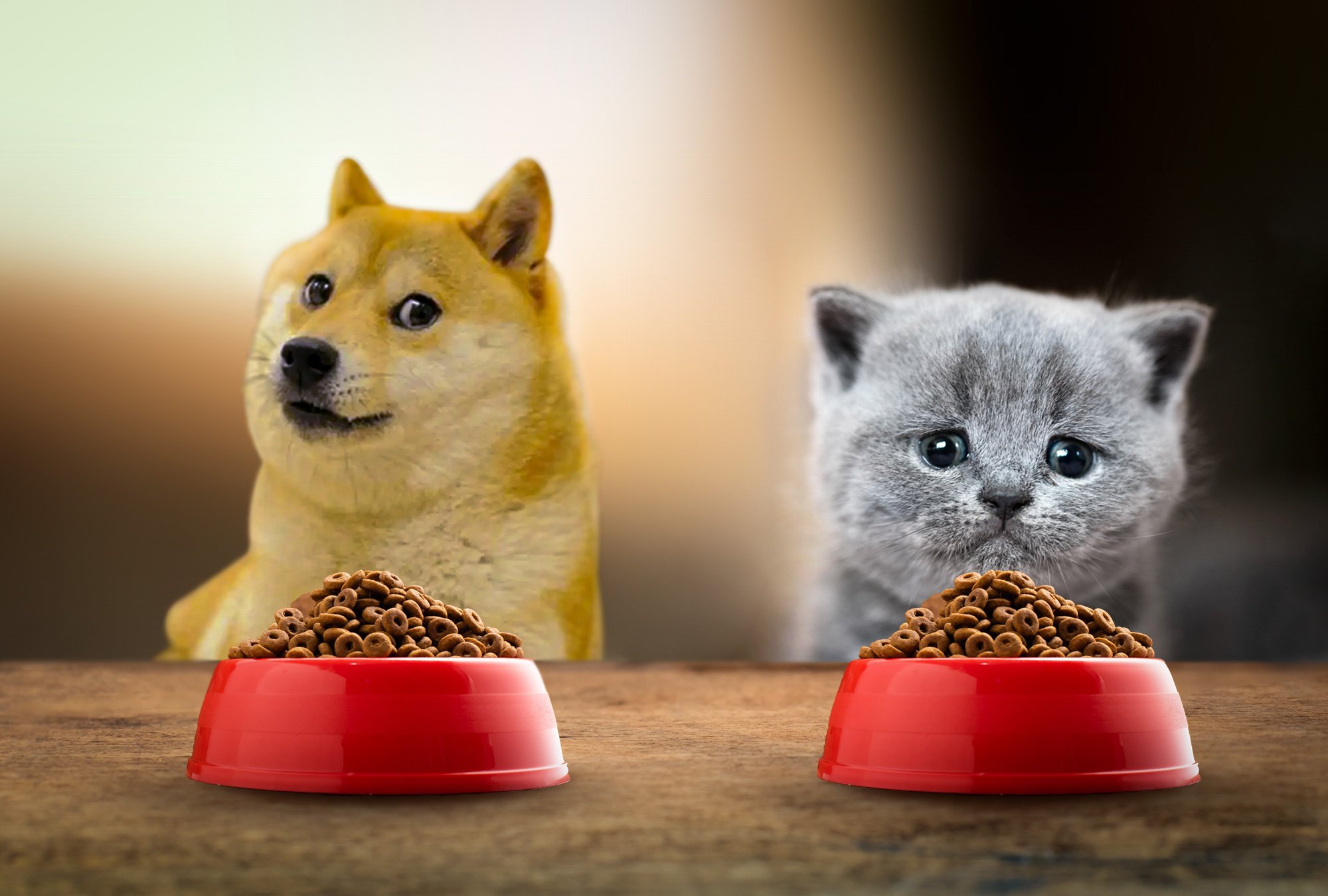 Alimento para mascotas