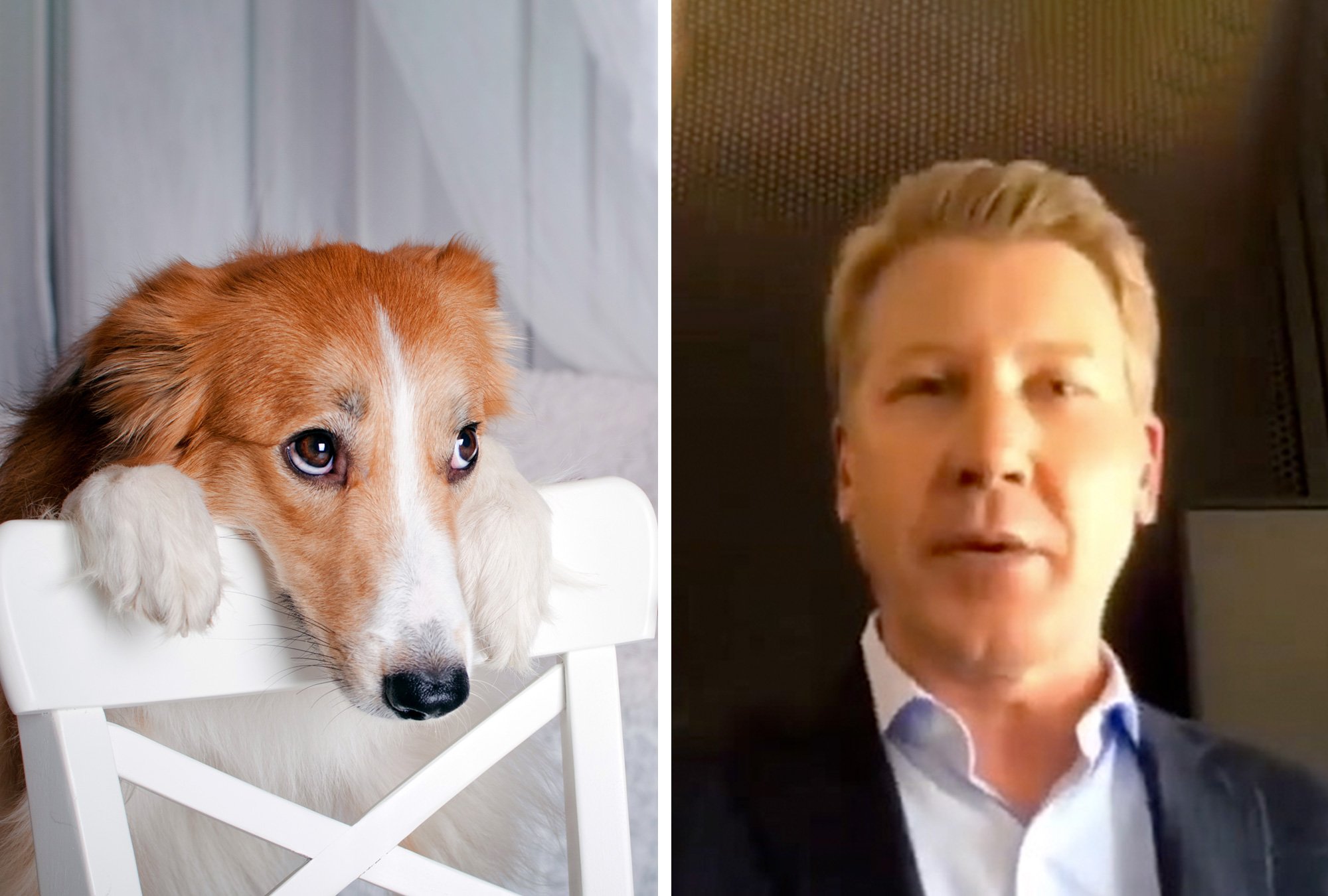 James Clarke, CEO de Clearlink. 'Los honro por el sacrificio', CEO celebra que un empleado vendió a su perro para regresar a trabajar a tiempo completo