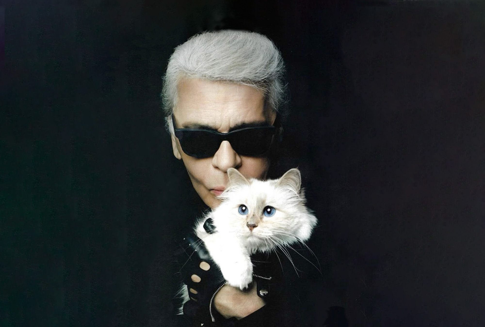 Choupette, la famosa gatita de Karl Lagerfeld de la que todos hablan y recuerdan