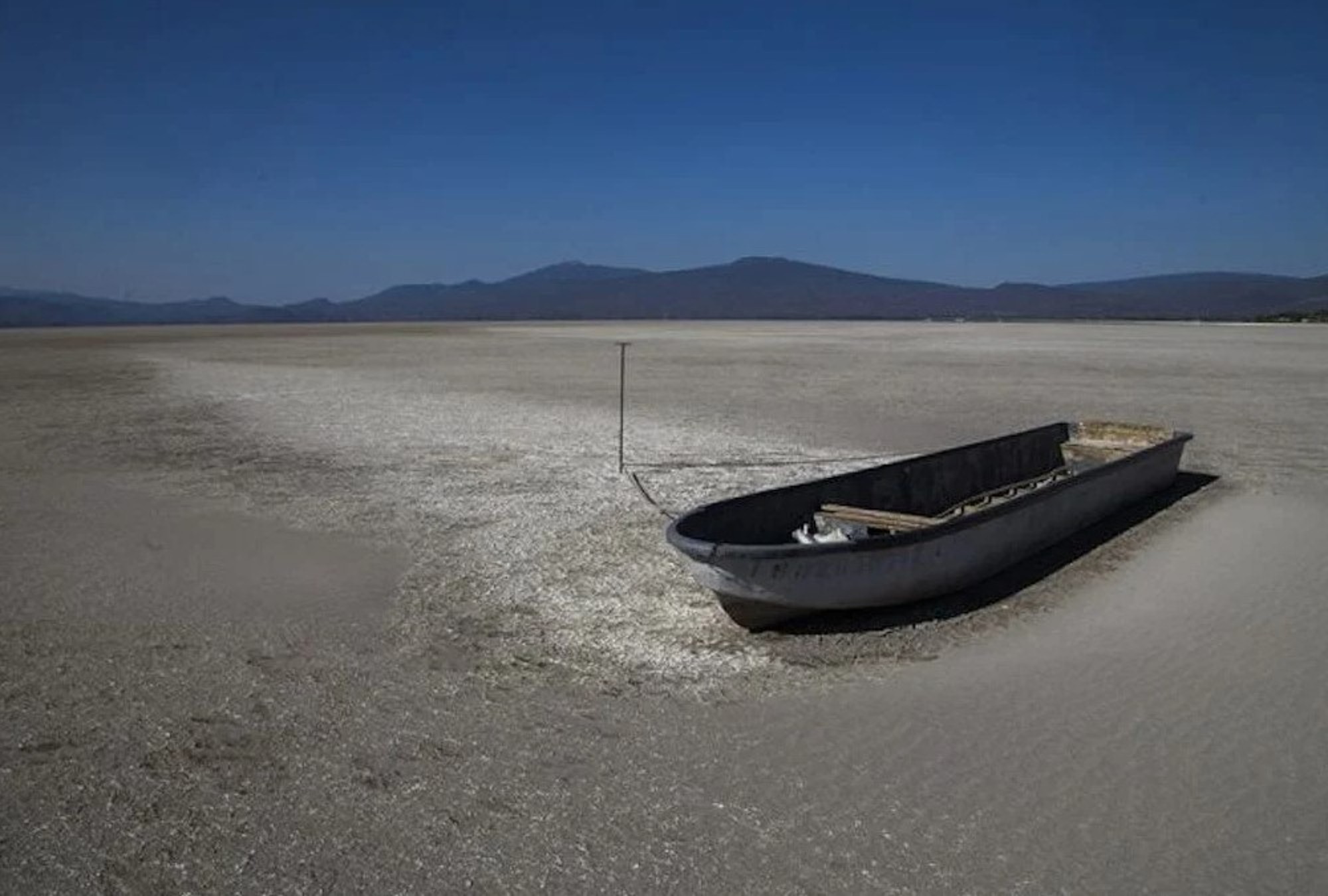 Lago de Cuitzeo en crisis: ¿Podrá sobrevivir esta maravilla natural?