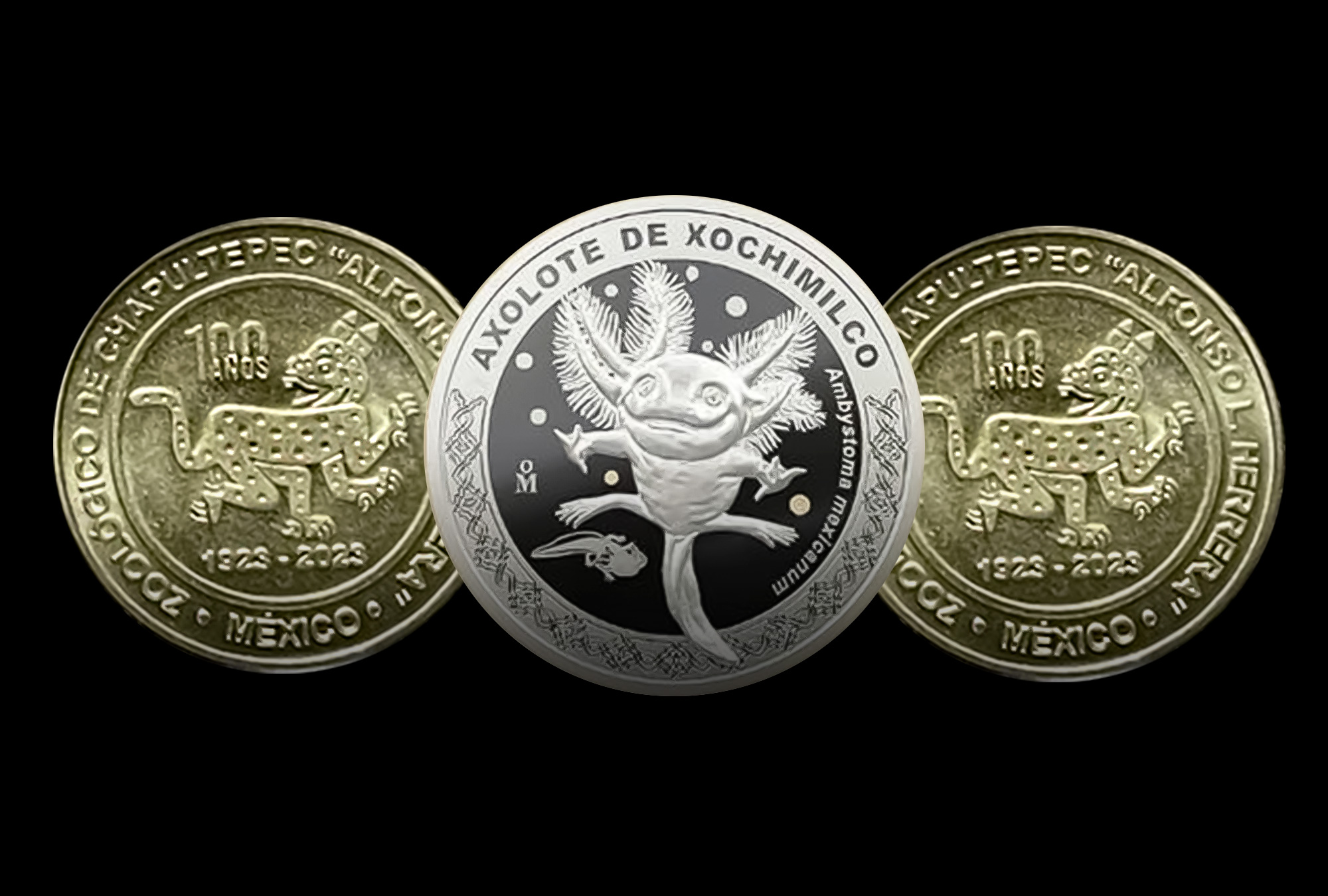 Casa de Moneda lanza medallas por el 100 aniversario del Zoo de Chapultepec