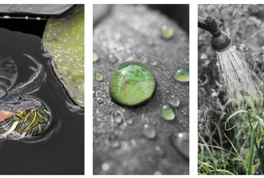 HEINEKEN Green Challenge evoluciona hacia pruebas operativas