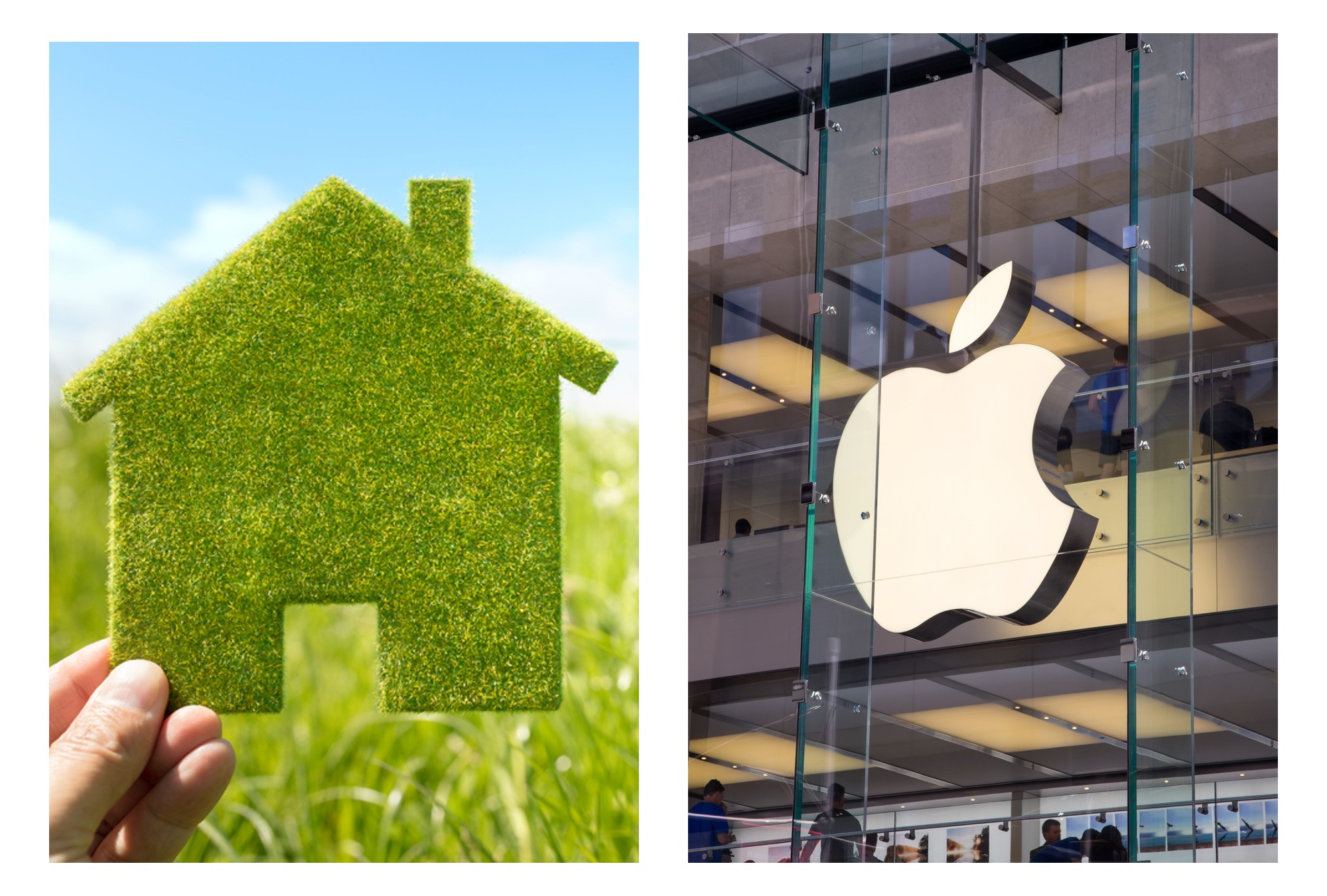 Apple quiere ser neutral en sus emisiones de carbono.