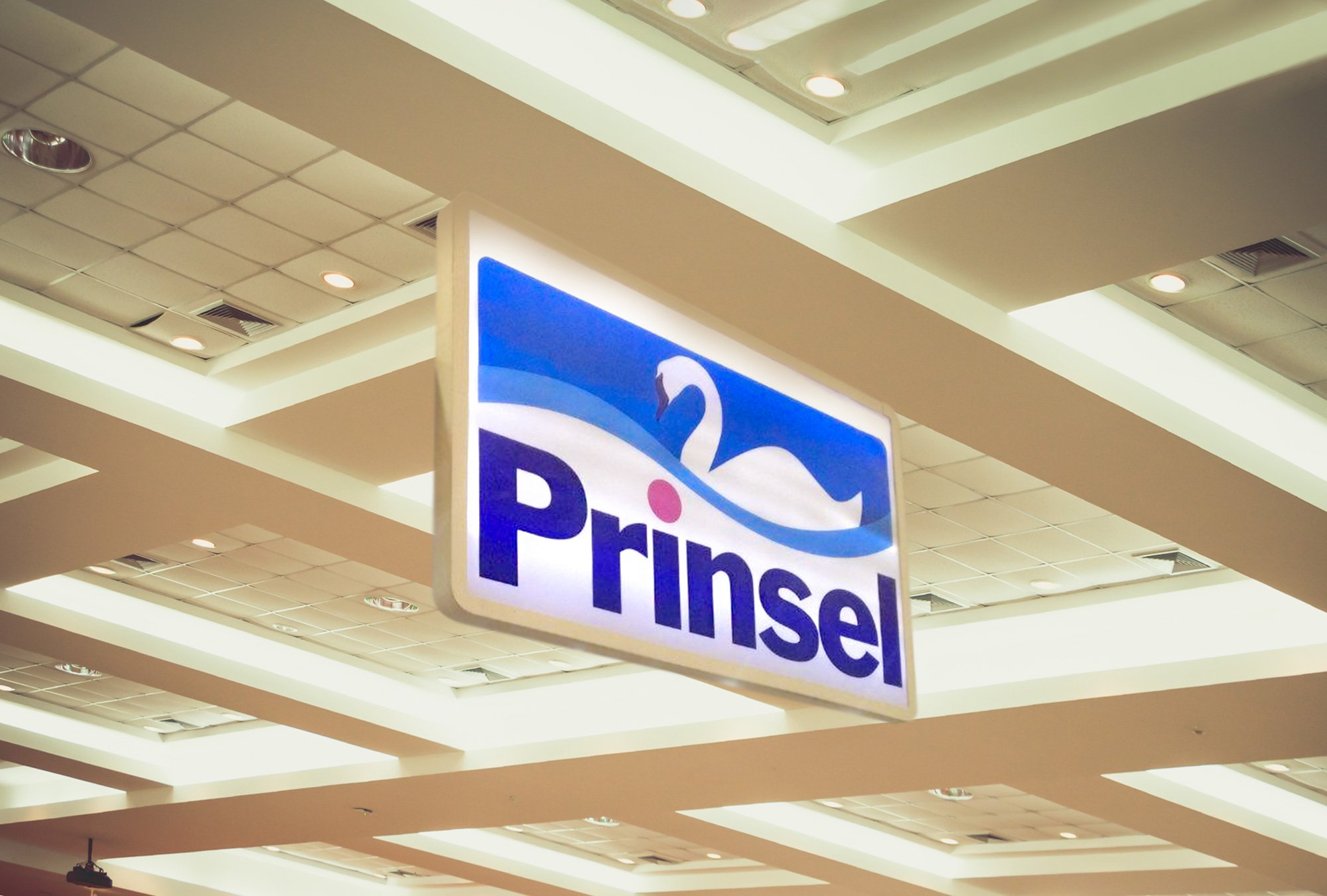 ¿Conoces la marca Prinsel?