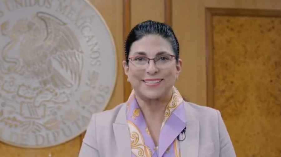 Marcela Guerra vía Canal del Congreso