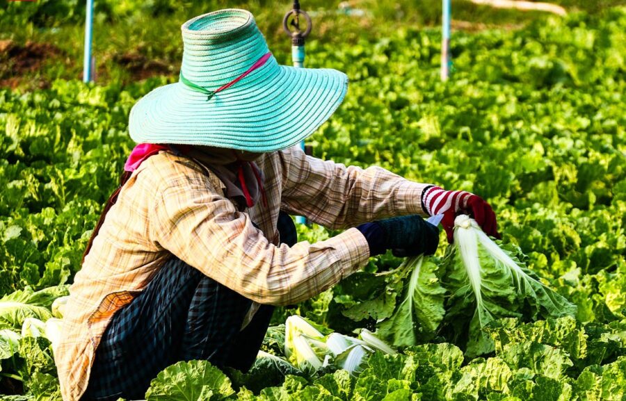 Imagen: Vía Revista Emprende