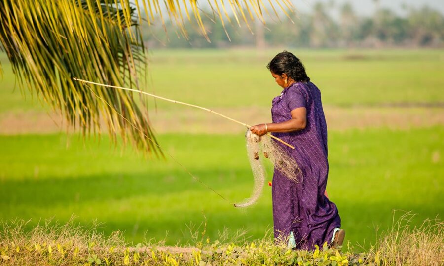 Imagen: Vía Revista Emprende