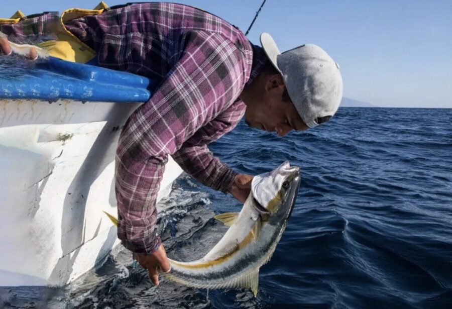 Imagen: Vía Revista Emprende