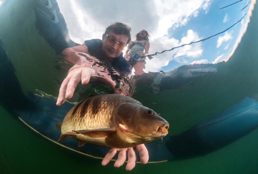 Imagen: Vía Revista Emprende