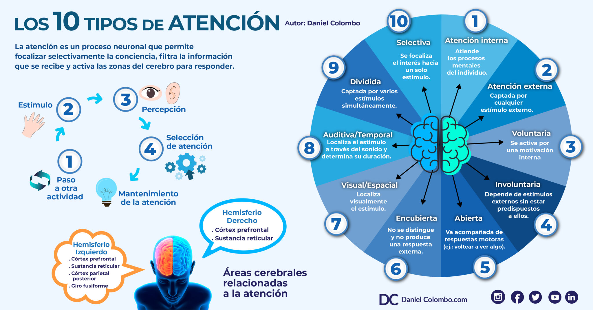 Descubre los 10 tipos de atención: Claves para mejorar tu concentración