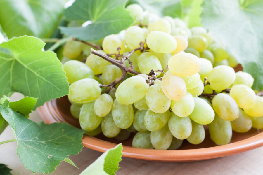 Las uvas contienen antioxidantes como el resveratrol | Imagen: Depositphotos.com