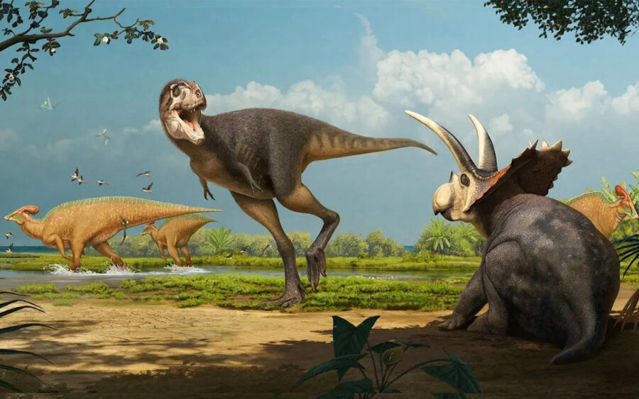 Así habría sido el Labocania aguillonae | Imagen: Museo del Desierto
