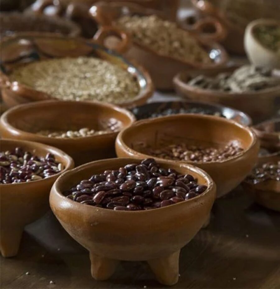 Los ingredientes de la cocina mexicana son innumerables | Imagen: Manuel Grosselet vía México Desconocido