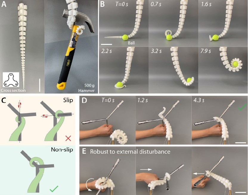 Imagen: Universidad de Ciencia y Tecnología de China