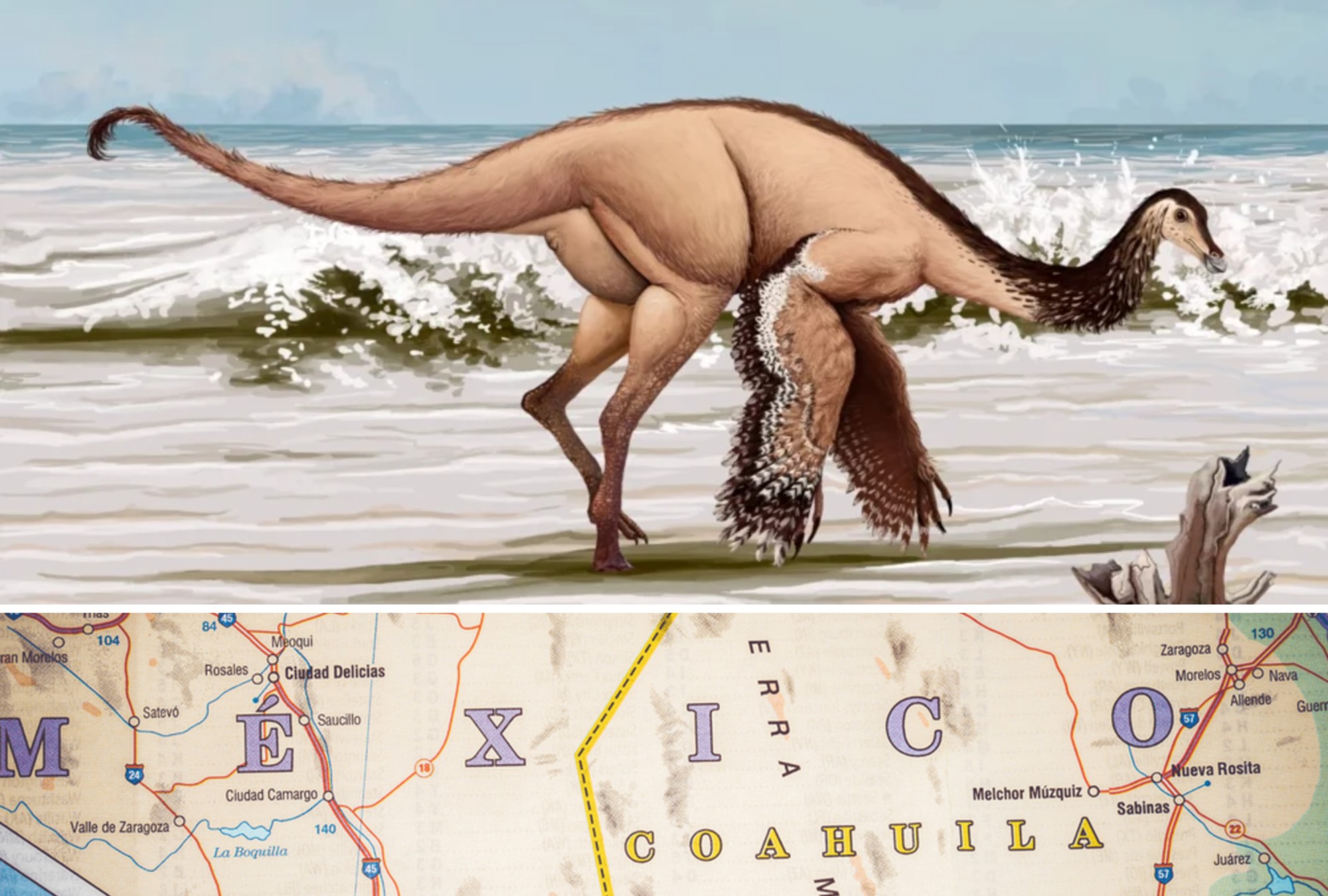 Reconstrucción del Mexidracon longimanus