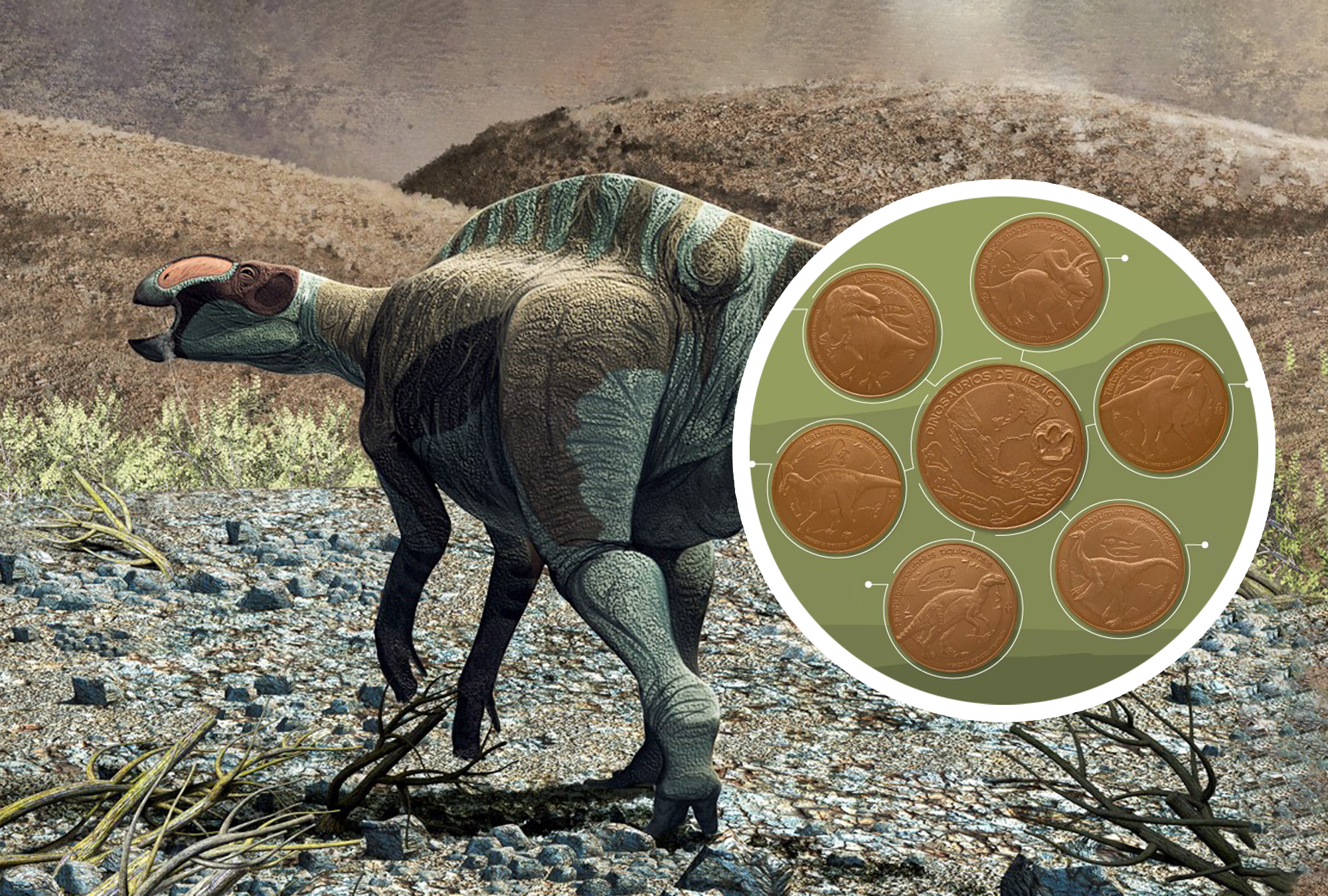 Colección de monedas de dinosaurios mexicanos.