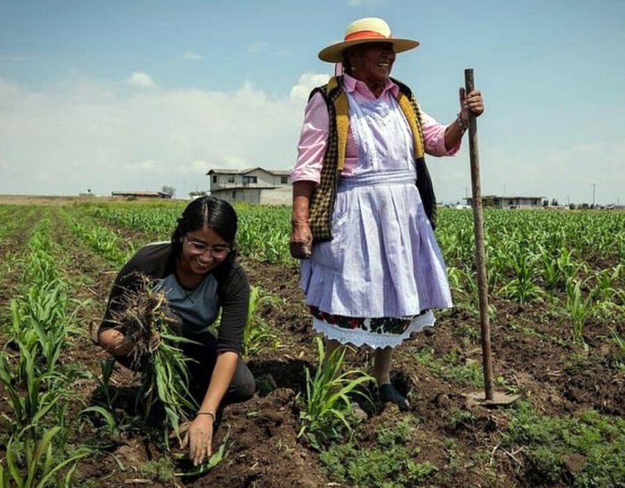 Una tortilla con propósito | Imagen: Revista Emprende