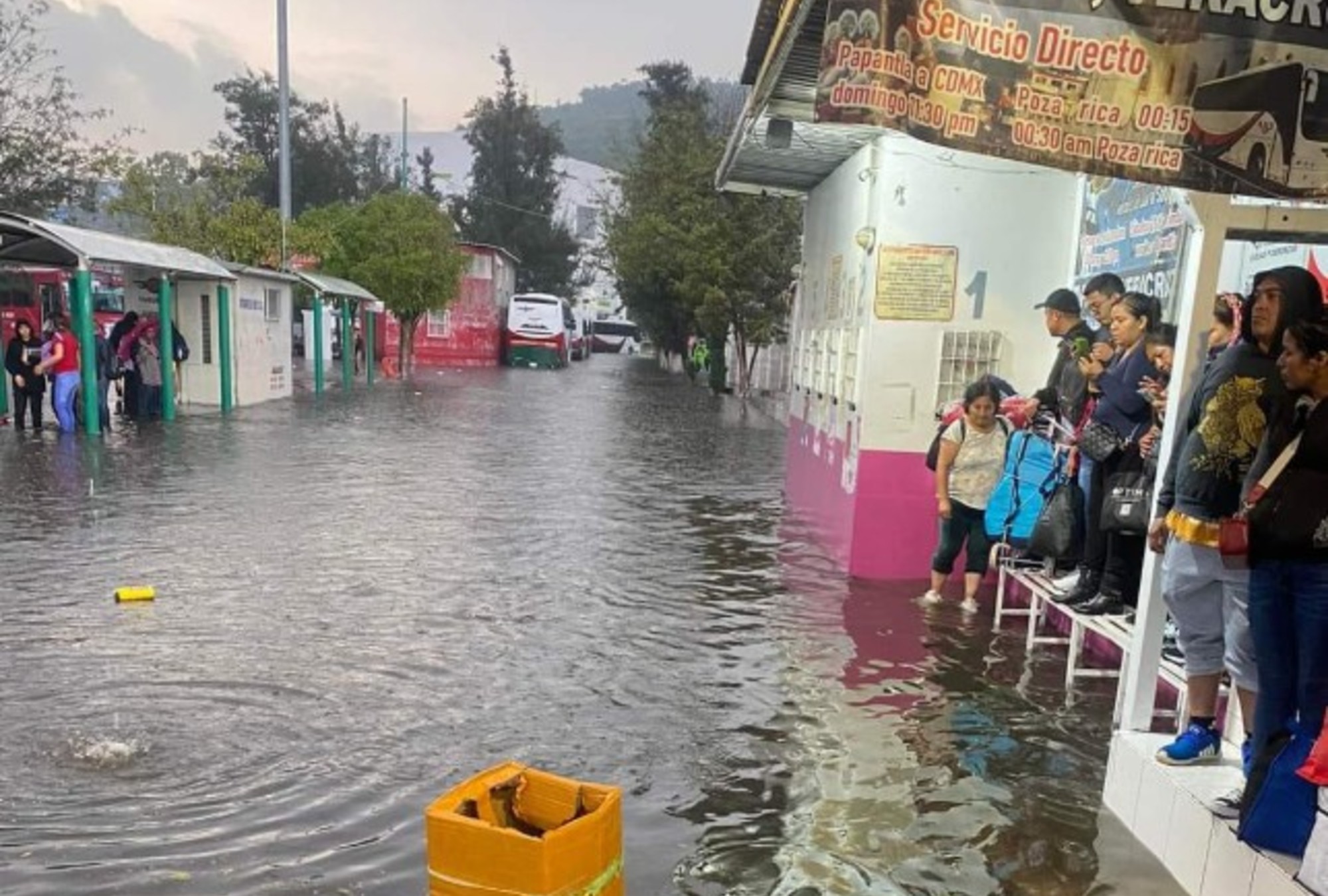 ¿Tu calle se inundó? Aprende a reportar coladeras.
