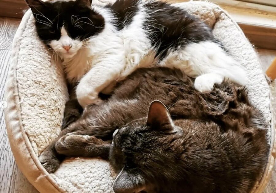 Imagen: Revista Emprende