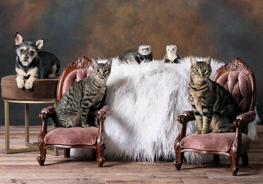 Imagen: Revista Emprende