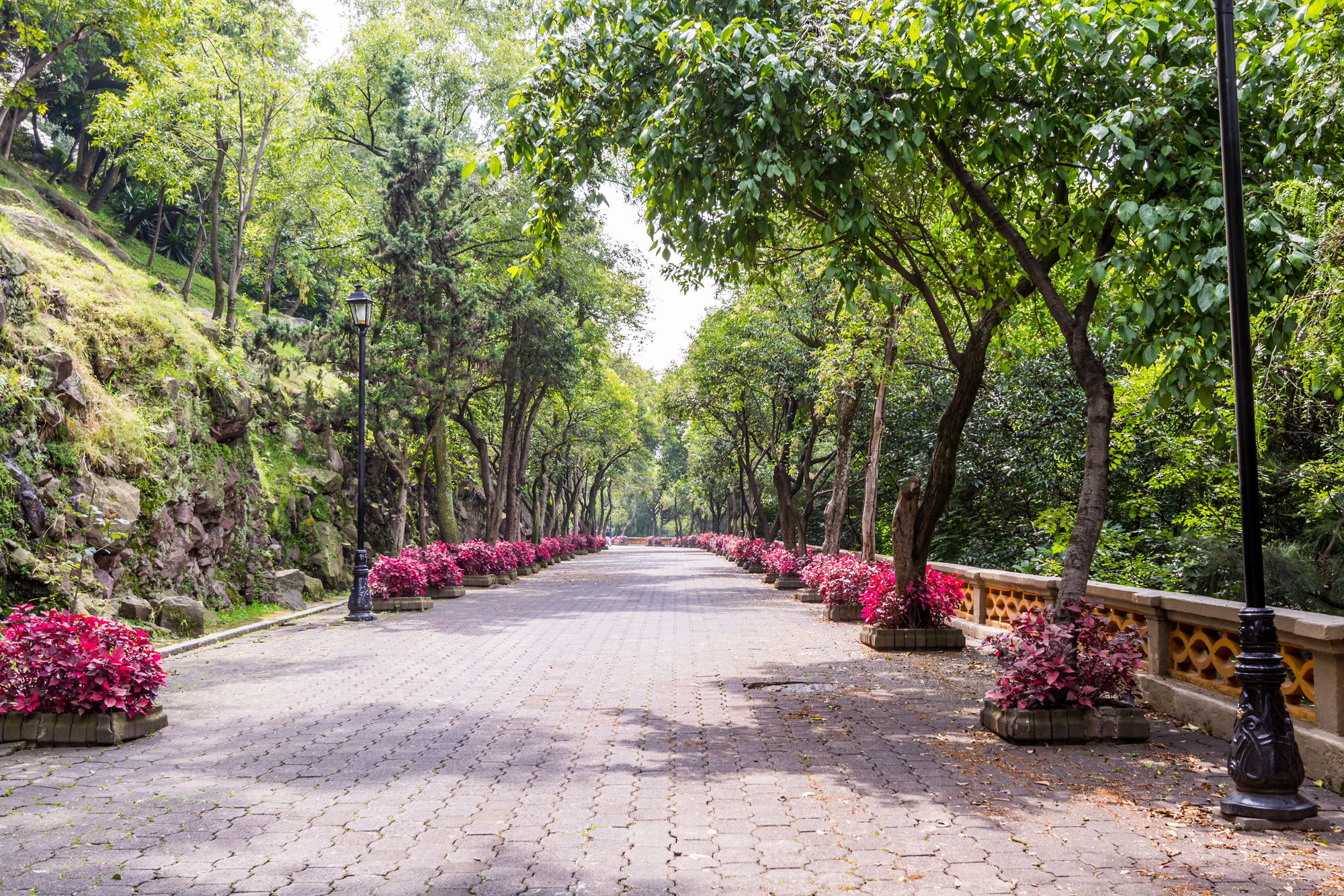 Chapultepec, una joya de esta ciudad top.