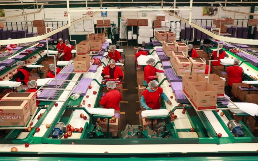 Estaciones climatológicas y sistemas de riego eficiente en Chihuahua han elevado los rendimientos de manzana | Imagen: Cortesía