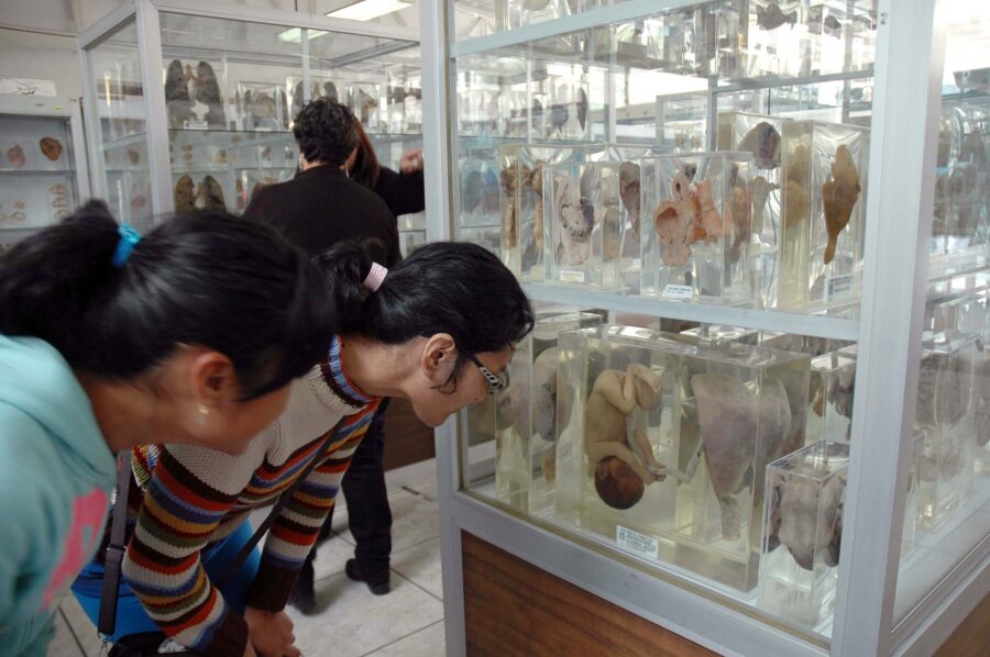 Imagen: Facultad de Medicina | UNAM