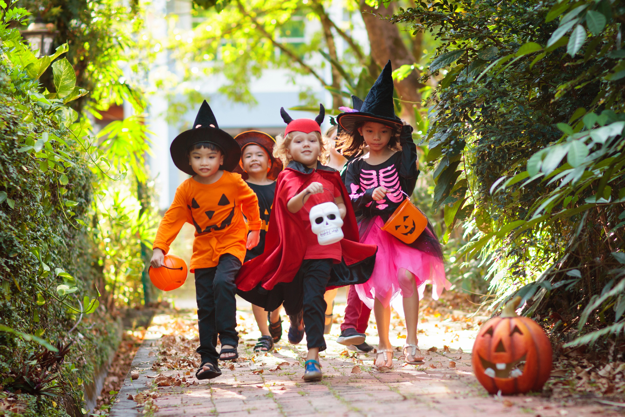 Halloween mueve más de 13 mil millones de dólares en Estados Unidos cada año.