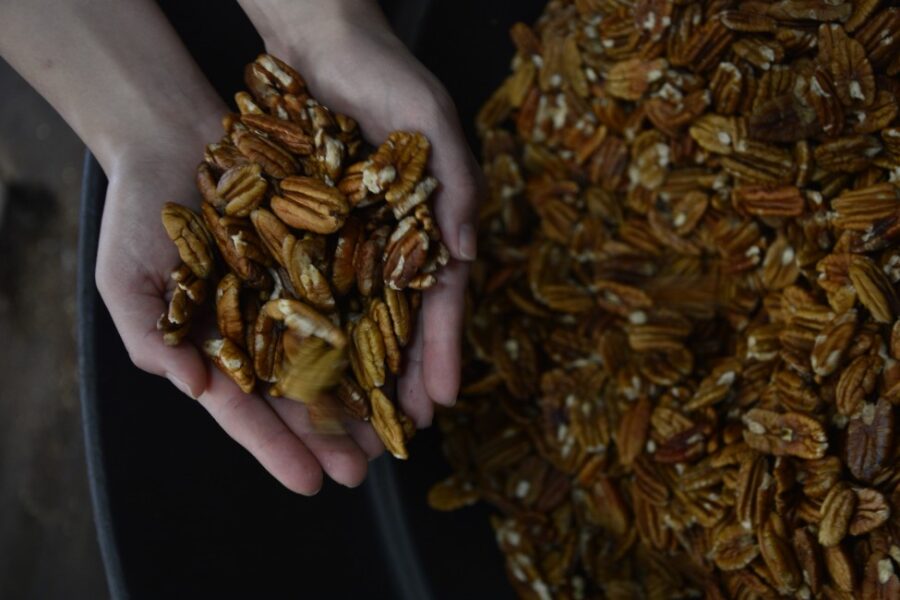 Riego tecnificado y valor agregado: el campo chihuahuense ha escalado a mercados globales | Imagen: Cortesía