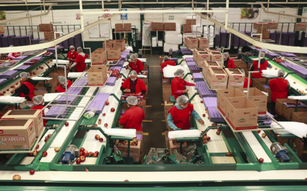 Del campo a la industria 4.0: historias de innovación empresarial en Chihuahua