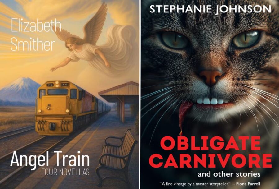 Descalifican a dos escritoras por usar imágenes IA en la portada de sus libros para los Ockham Awards