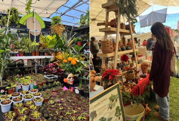 Plant Fest 2025 en CDMX: fechas, sede y actividades del Festival de Plantas