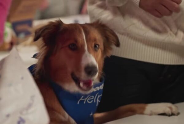 Por qué la confianza vende más que los descuentos