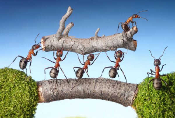 Cómo cambiará la gestión laboral en 2026, según expertos