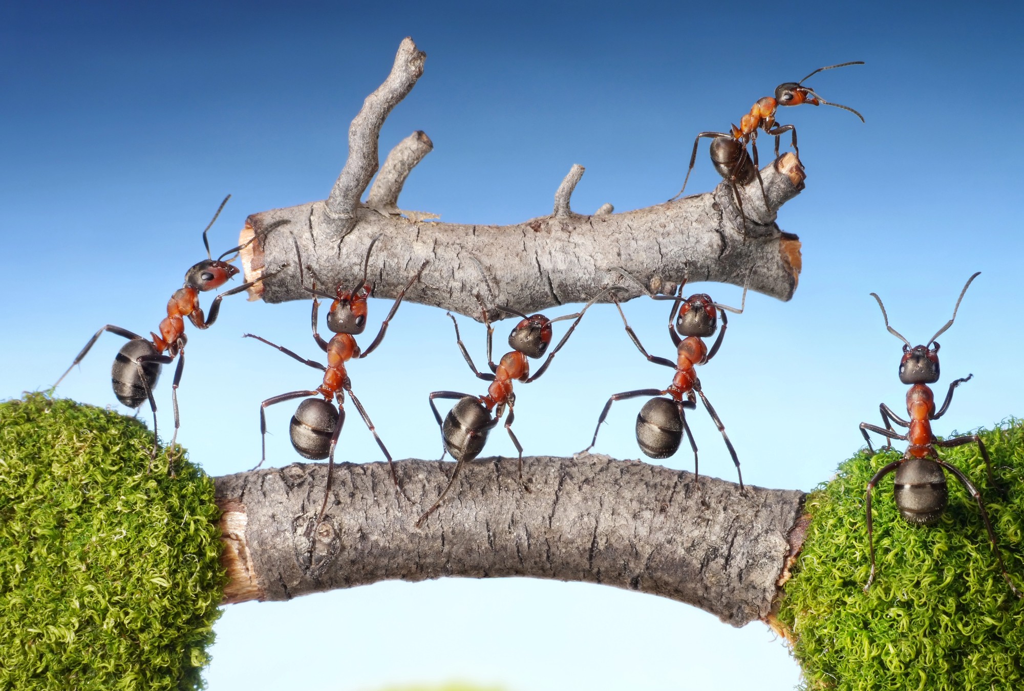 La IA redefine la gestión laboral.