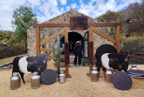 Marketing de experiencia: Cómo el storytelling, la nostalgia y lo ‘real’ redefinen las campañas