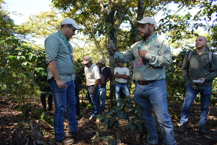 Café de Origen Único: el nuevo homenaje global de Starbucks a México | Imagen: Cortesía
