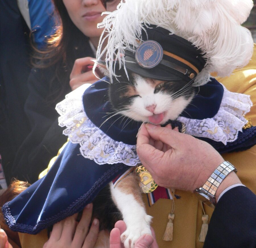 Tama en la Estación Kishi durante su periodo como jefa de estación | Imagen: Hyper Japan