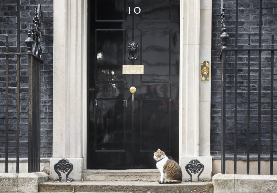 Larry, el felino más emblemático de Downing Street, observa la calle desde la puerta oficial | Imagen: Depositphotos.com