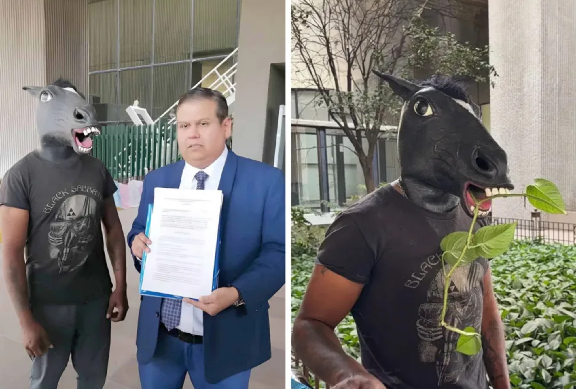 Propuesta de Ley Therian: protección contra el bullying hacia therians.